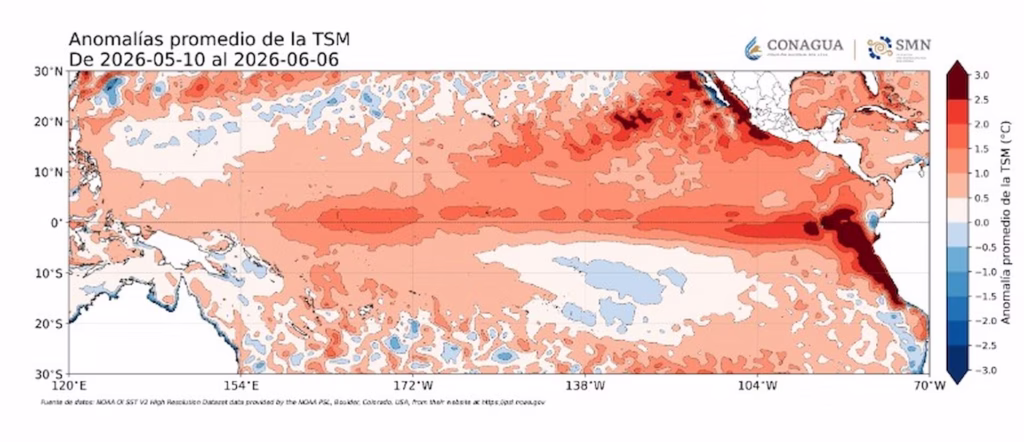 Mapa oficial de anomalías de temperatura superficial del océano Pacífico durante junio de 2026 elaborado por Conagua y el Servicio Meteorológico Nacional.