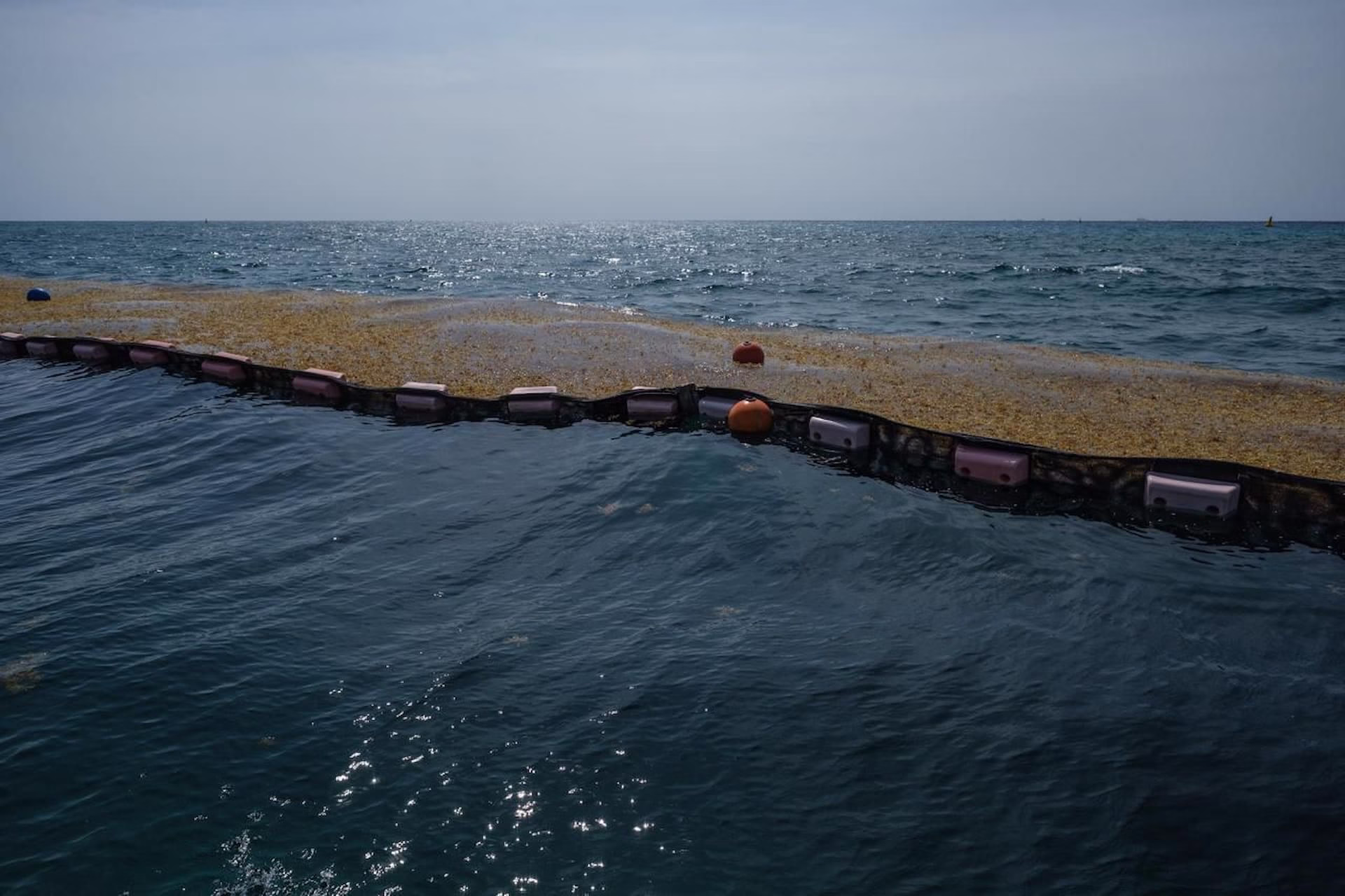 Barrera antisargazo instalada frente al litoral de Quintana Roo para contener la macroalga.