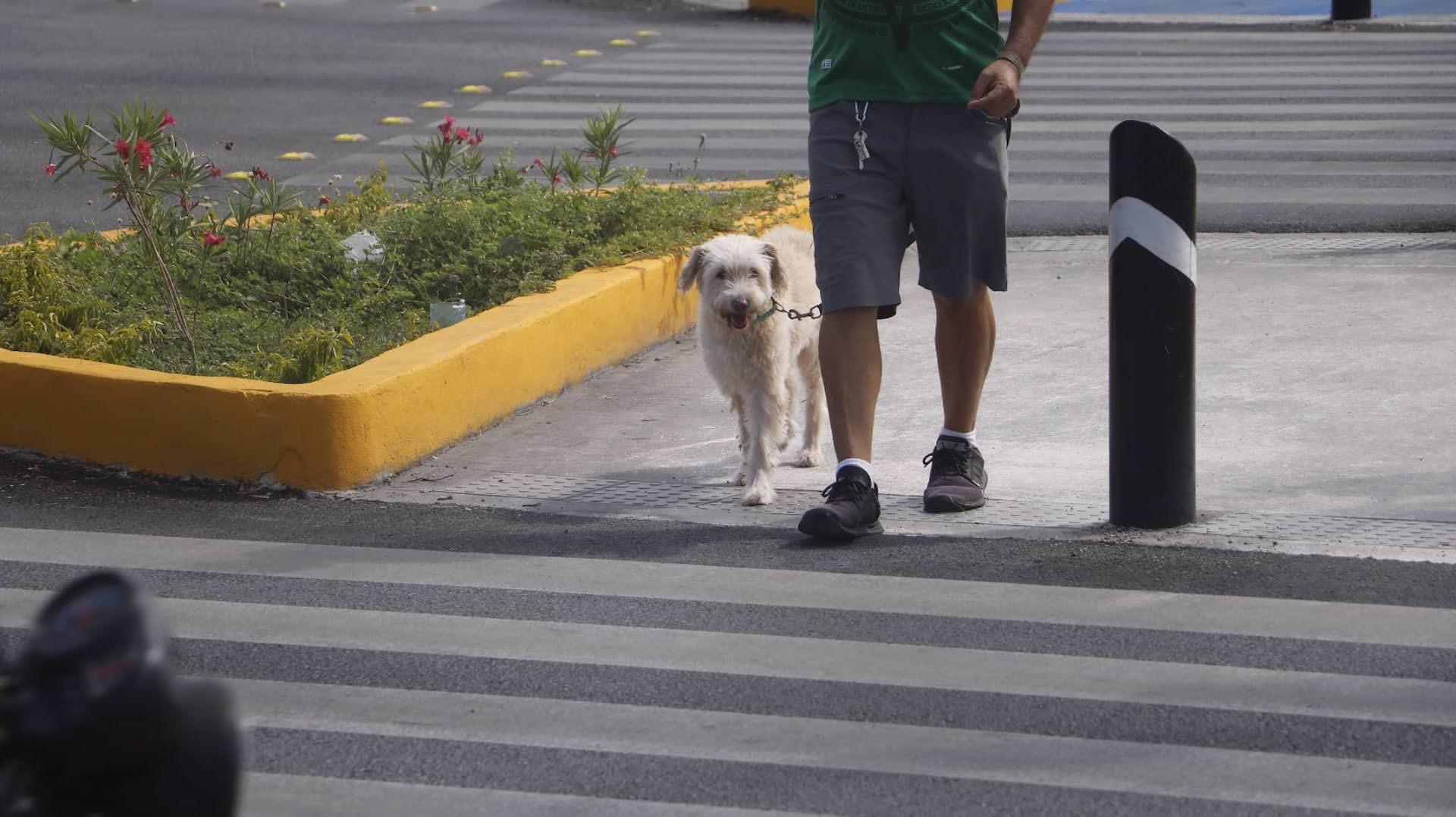 Calor extremo en Quintana Roo con personas caminando bajo altas temperaturas