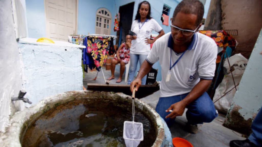Personal de salud inspecciona depósitos de agua para prevenir la reproducción del mosquito Aedes aegypti en Quintana Roo.