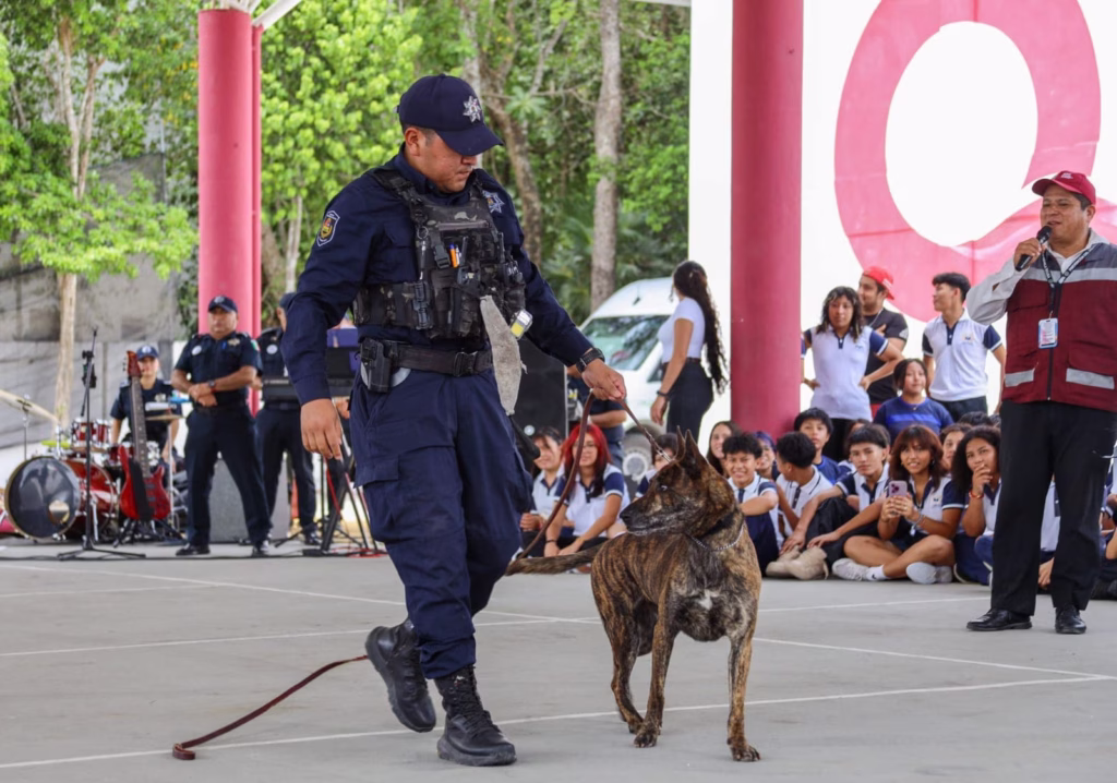 Elemento de la unidad K9 realiza una demostración de habilidades caninas durante la jornada Policía en tu Escuela en Puerto Morelos.