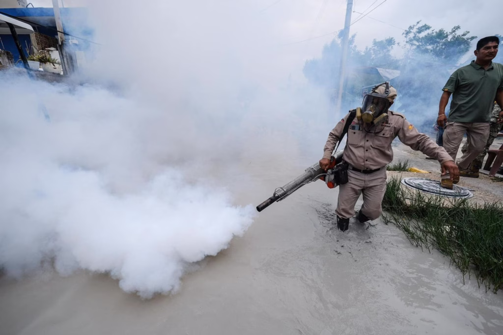 Brigadas realizan acciones de control de mosquitos durante temporada de lluvias en Quintana Roo