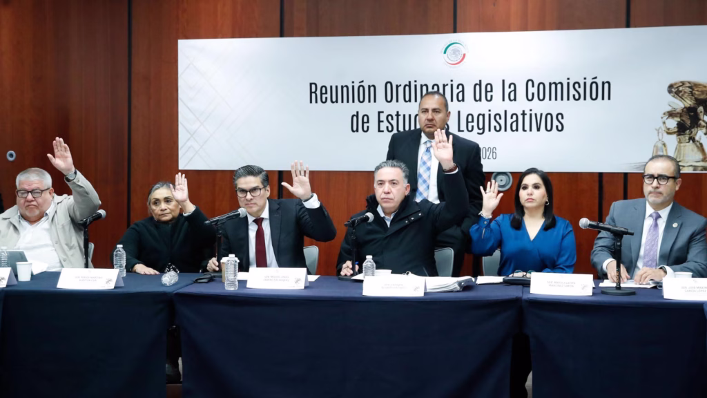 Mayuli Martínez durante una reunión de la Comisión de Estudios Legislativos
