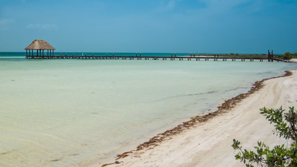 Muelle de Holbox dentro del Área de Protección de Flora y Fauna Yum Balam.