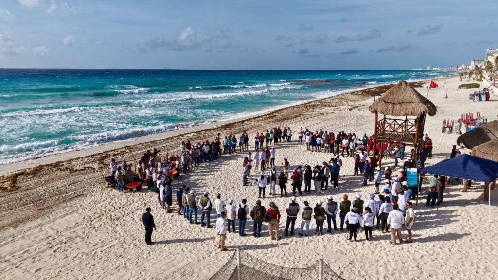Personal realiza labores de limpieza y retiro de sargazo en una playa de Quintana Roo.