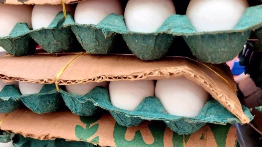 Huevo como producto básico dentro de la canasta alimentaria en Quintana Roo