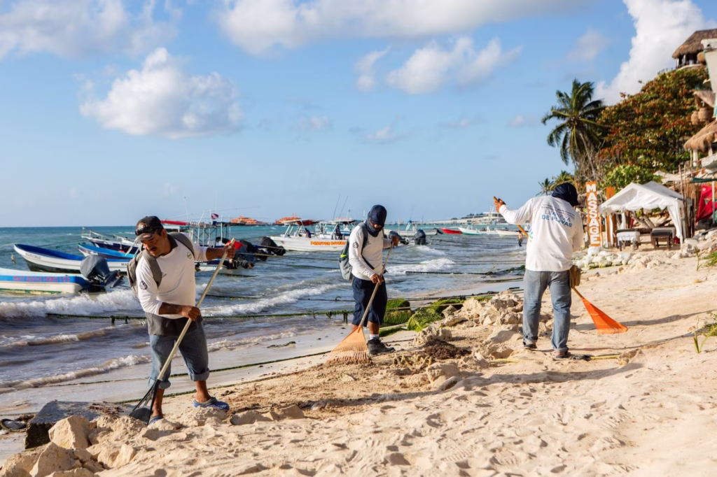 Personal realiza trabajos en una playa de Quintana Roo afectada por la erosión costera.