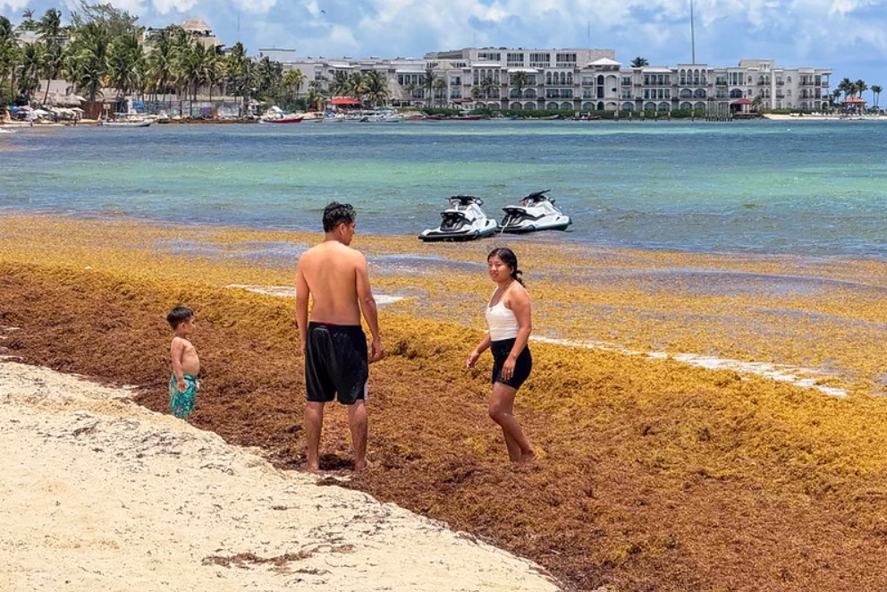 Visitantes recorren una playa con presencia de sargazo en Quintana Roo.