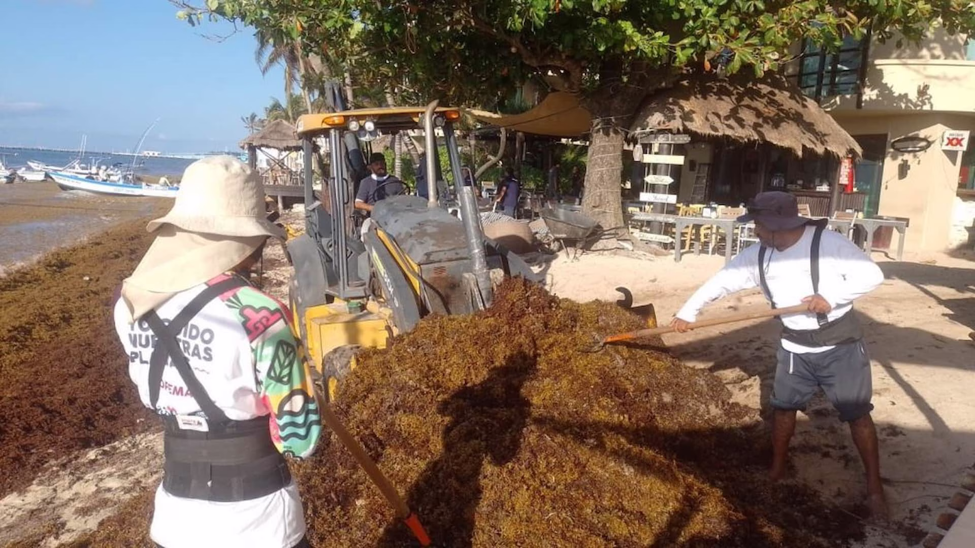 Brigadistas realizan trabajos de limpieza del sargazo en Playa del Carmen, actividad que cada temporada genera empleos temporales para atender el recale en las playas del municipio.