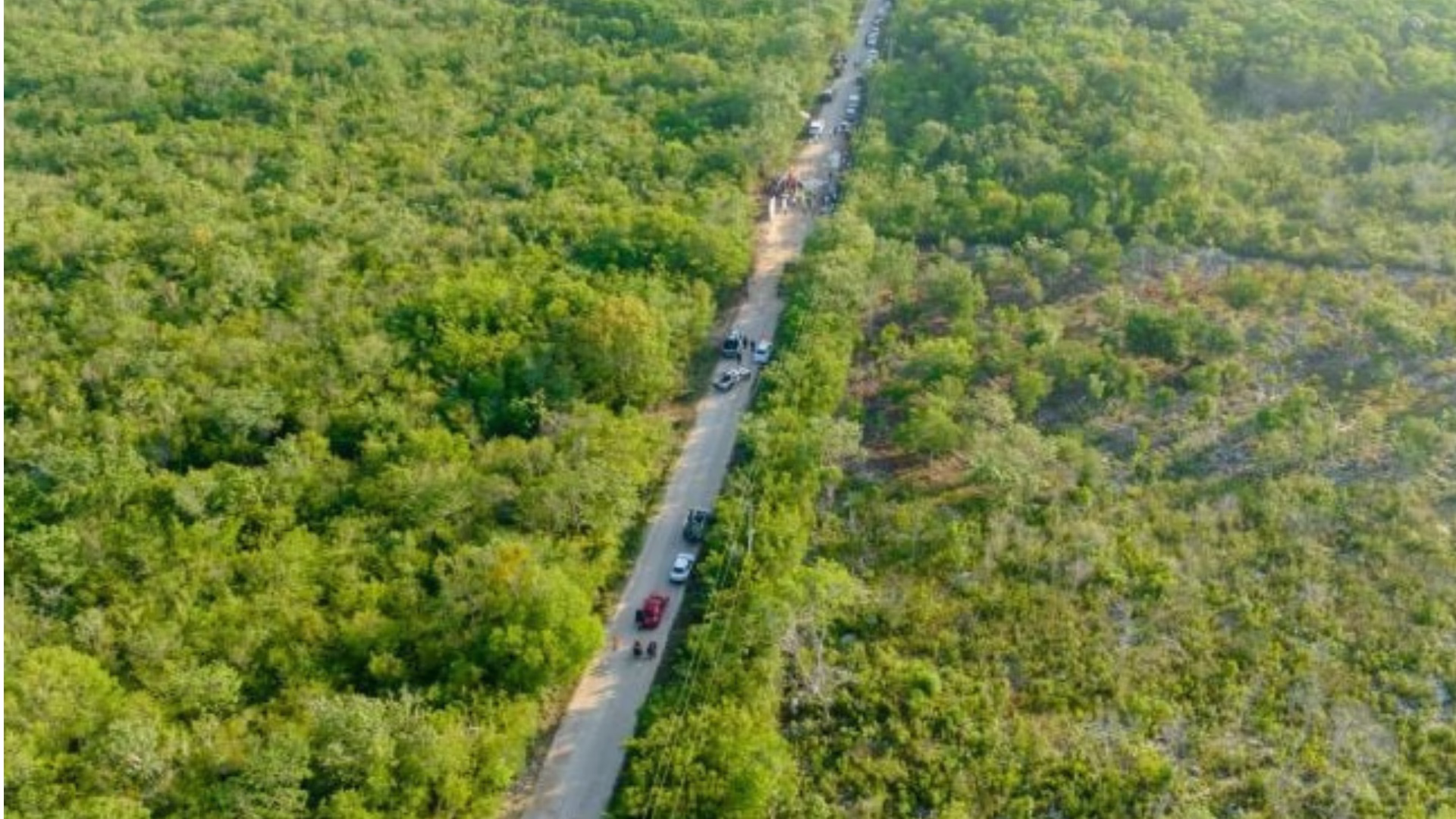 Vista aérea de un camino recto abierto entre vegetación selvática con varios vehículos sobre la vía