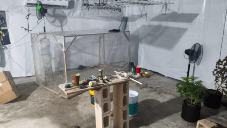 Instalaciones utilizadas presuntamente para el cultivo tecnificado de marihuana localizadas durante la investigación en Cancún y Playa del Carmen.