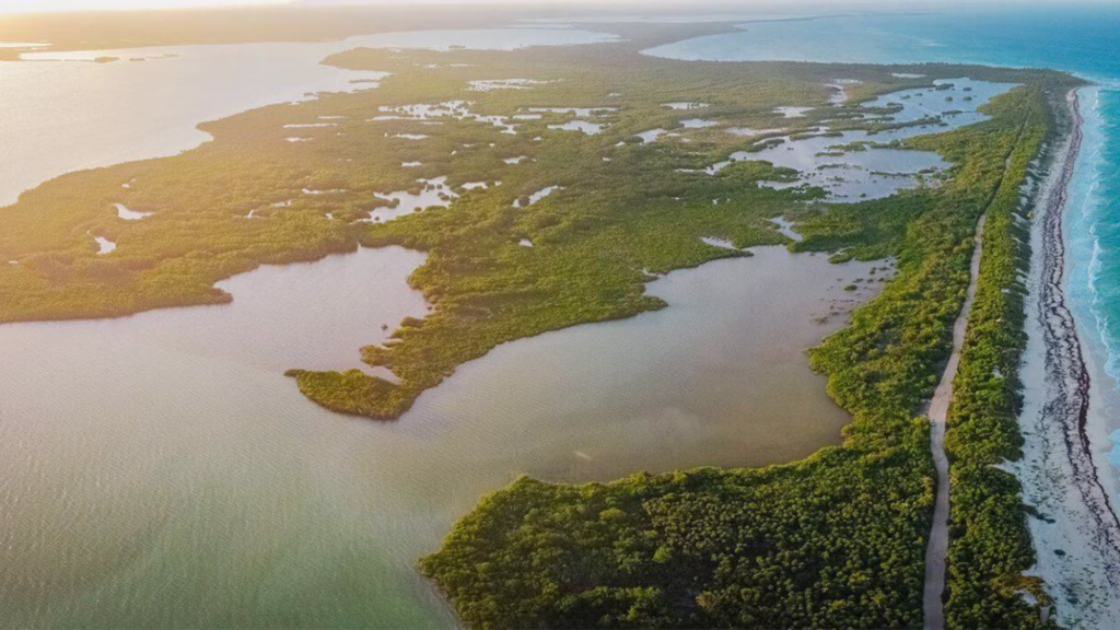 Humedales y manglares protegidos en la costa de Quintana Roo.