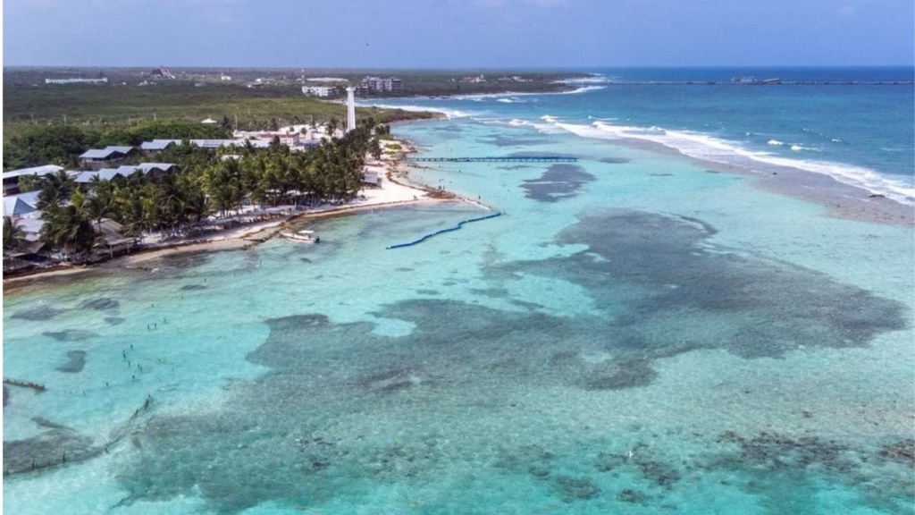 Manglares junto a una zona urbana del Caribe Mexicano, ejemplo de los retos para la conservación ambiental.