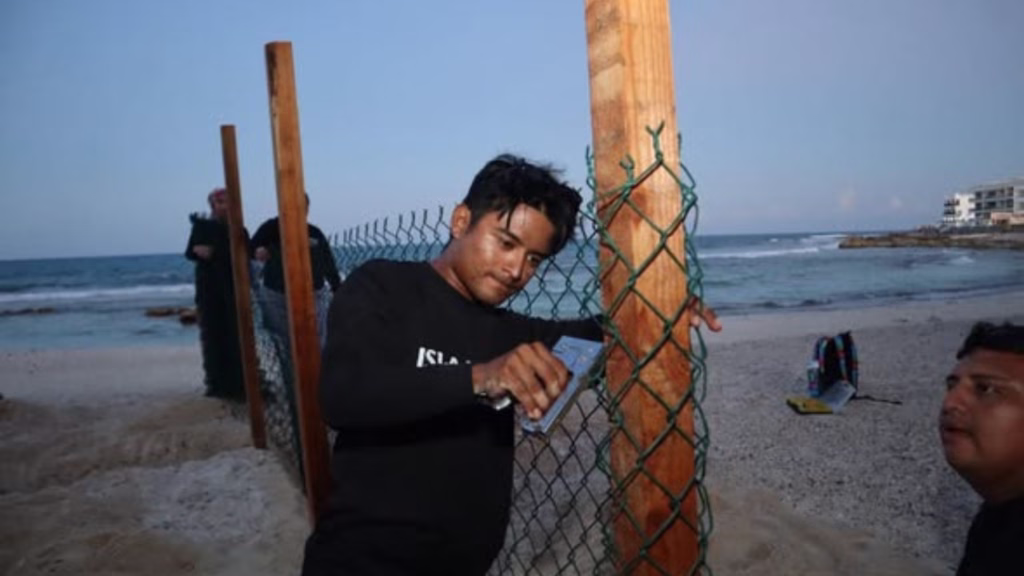 Personal instala malla y postes en un área de protección de tortugas en una playa de Isla Mujeres