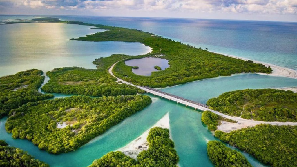Vista aérea de manglares, canales y lagunas en Quintana Roo