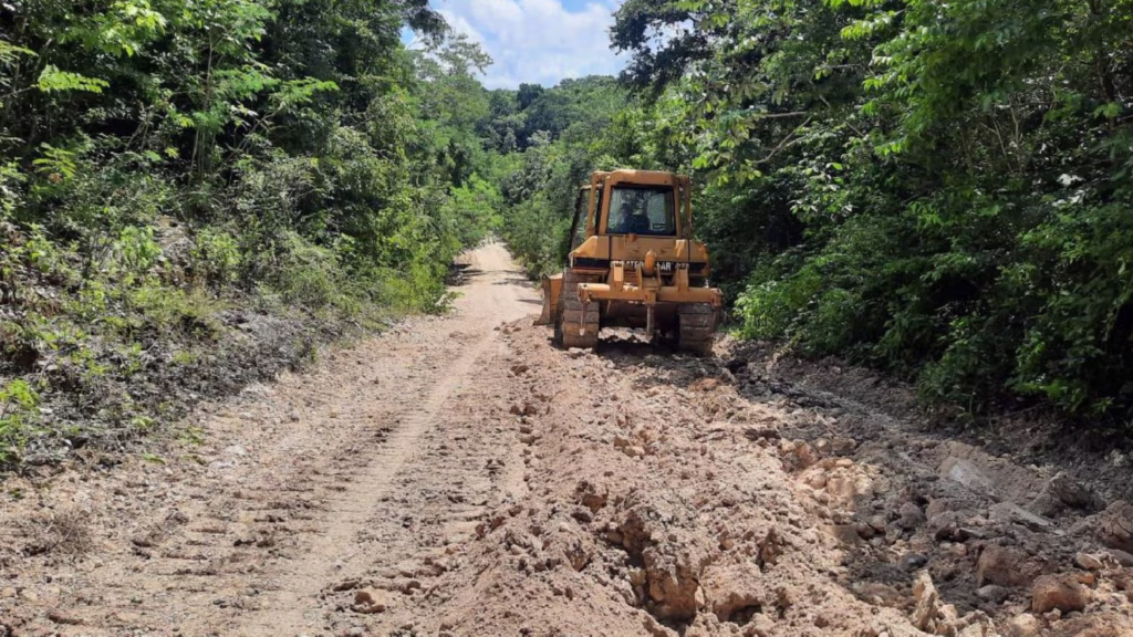 Maquinaria pesada realiza trabajos de nivelación sobre un camino rodeado de selva