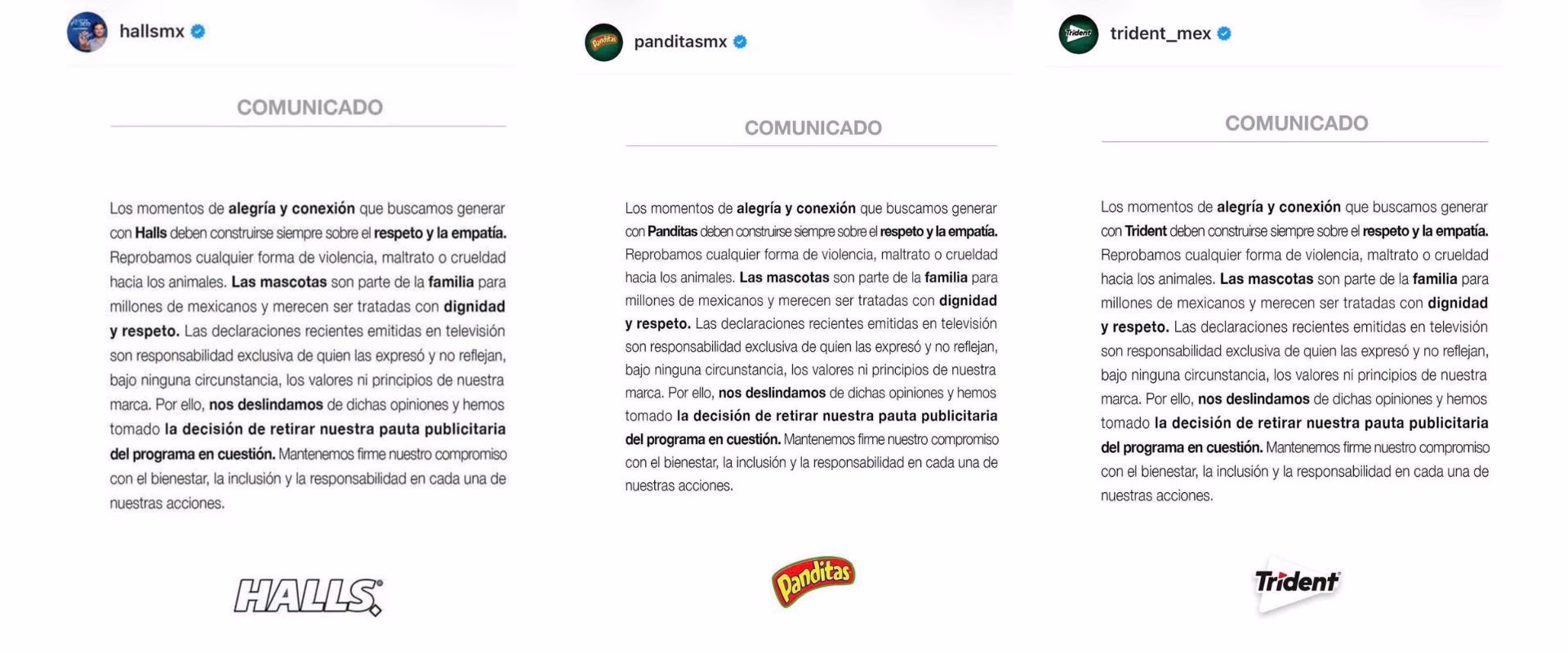 Comunicados de las marcas que retiraron su publicidad de Ventaneando tras los dichos de Pedro Sola sobre envenenar perros.