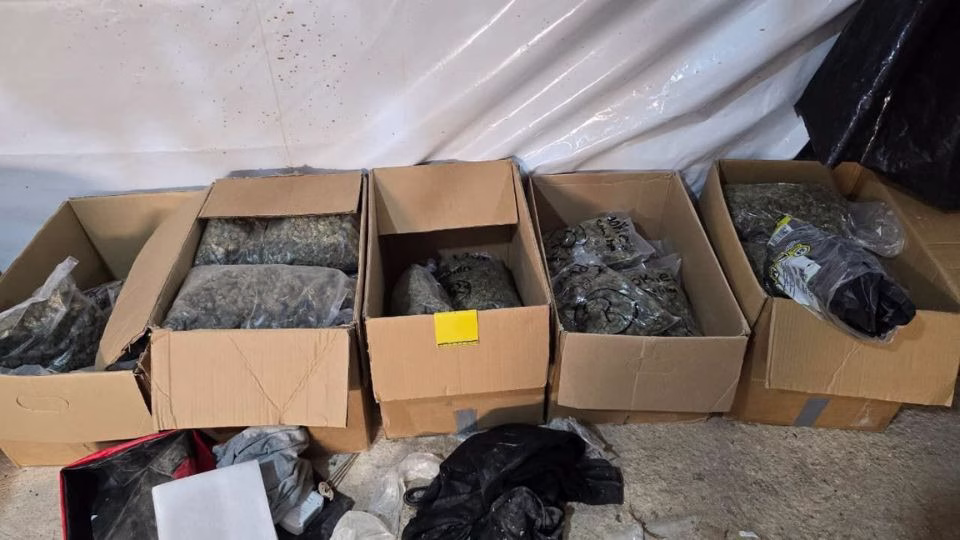 Paquetes, recipientes y otros indicios con marihuana asegurados durante los cateos realizados en Cancún y Playa del Carmen.