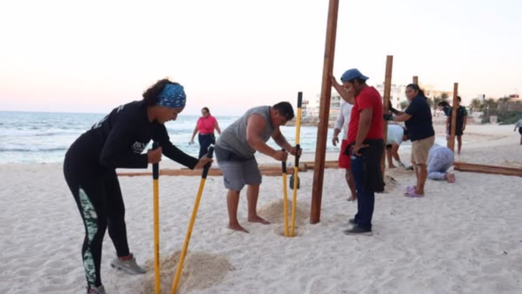 Personal prepara un corral de protección para nidos de tortugas marinas en una playa de Isla Mujeres.