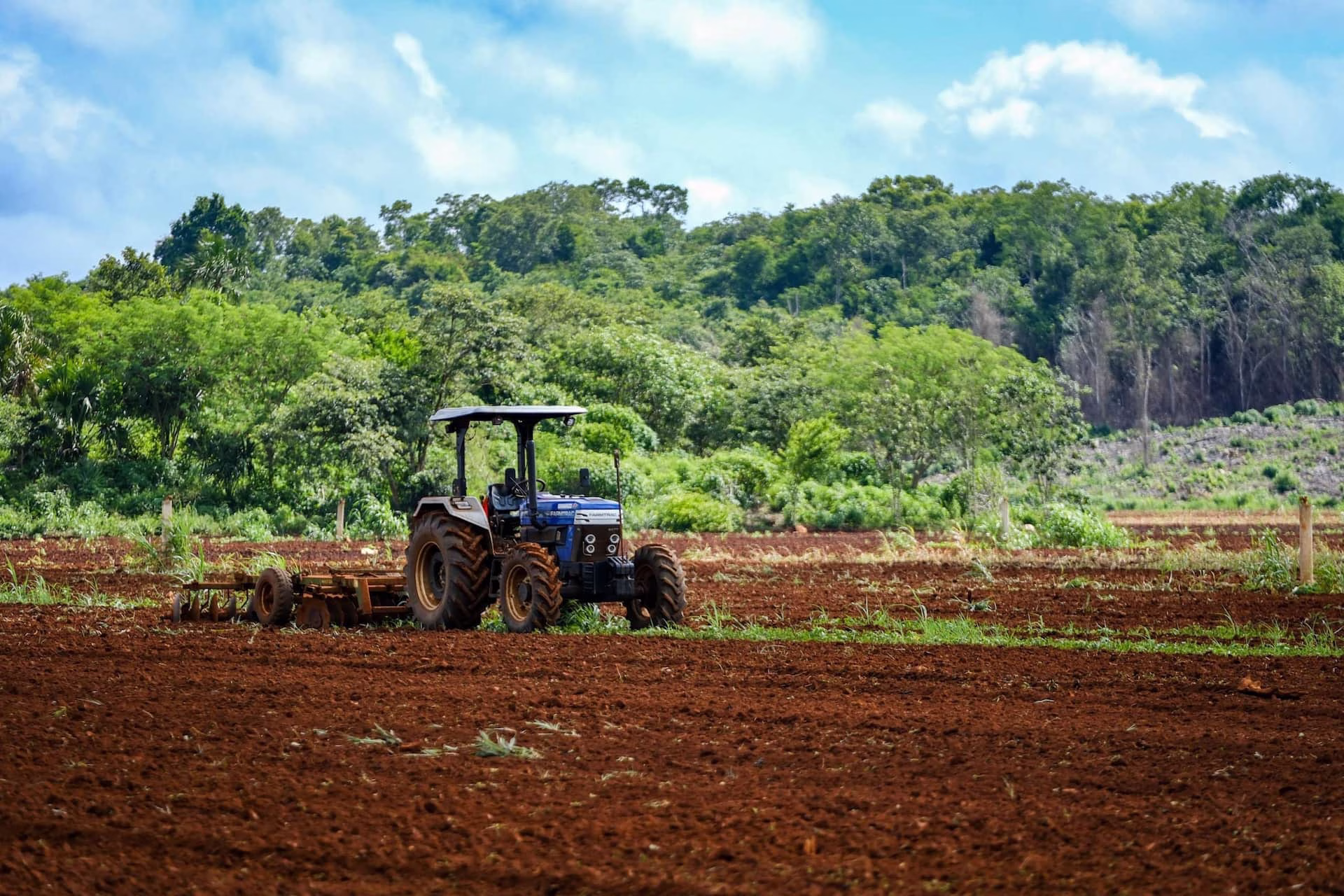Maquinaria agrícola trabaja la tierra en una parcela rodeada de vegetación.