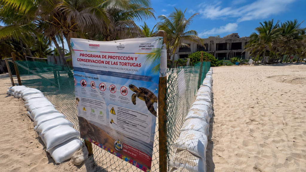 Señal del Programa de Protección y Conservación de las Tortugas colocada en un corral de playa.