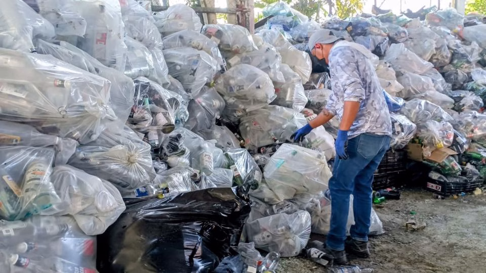 Residuos sólidos acumulados durante las labores de recolección y separación de basura en Cozumel