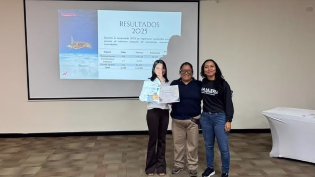 Personal presenta los resultados de 2025 del programa de protección de tortugas marinas de Isla Mujeres.