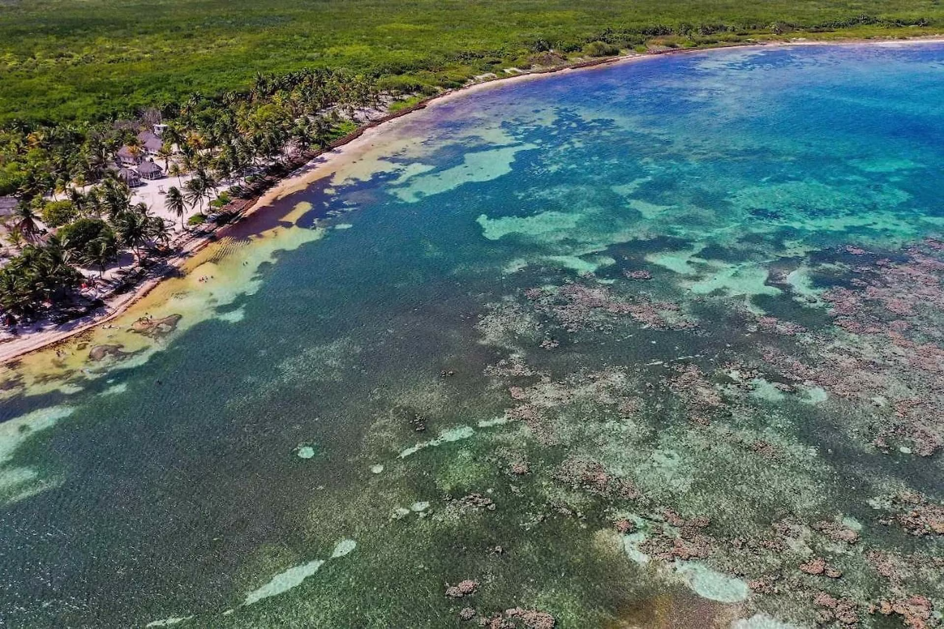 Sargazo alcanza el litoral de Mahahual