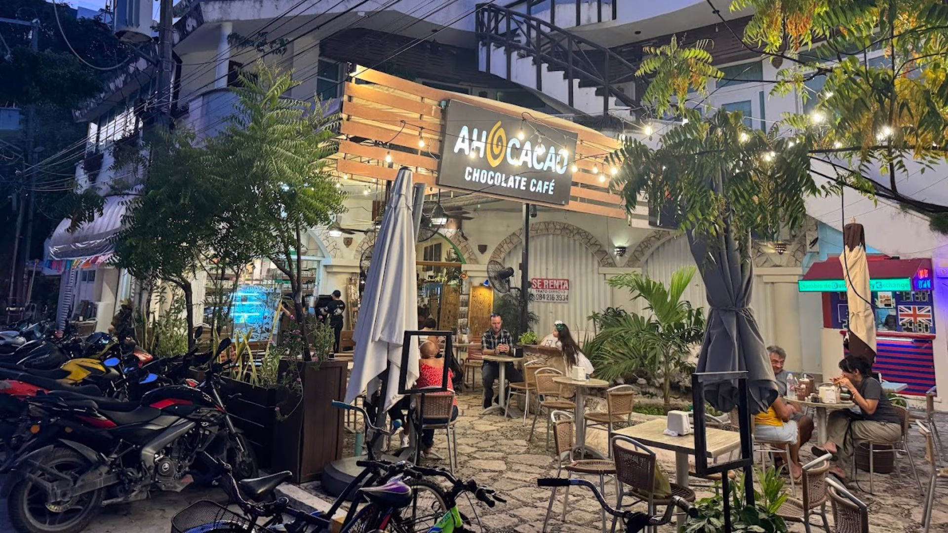 Actividad turística y comercial en Playa del Carmen enfrenta los efectos económicos provocados por el sargazo.