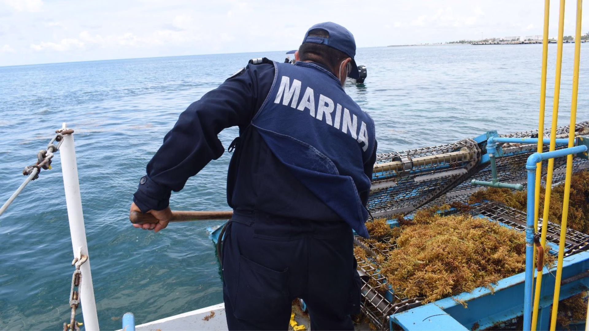 Elemento de la Secretaría de Marina recolecta sargazo, una de las labores más intensas que se realizan en Quintana Roo.