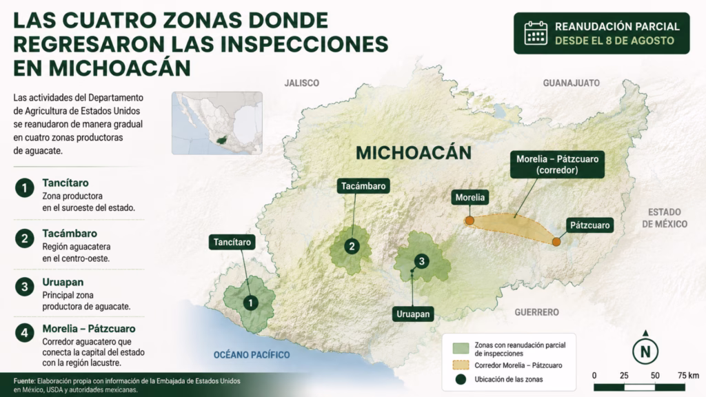 Mapa de Michoacán con Tancítaro, Tacámbaro, Uruapan y el corredor Morelia–Pátzcuaro, donde se reanudaron inspecciones de aguacate
