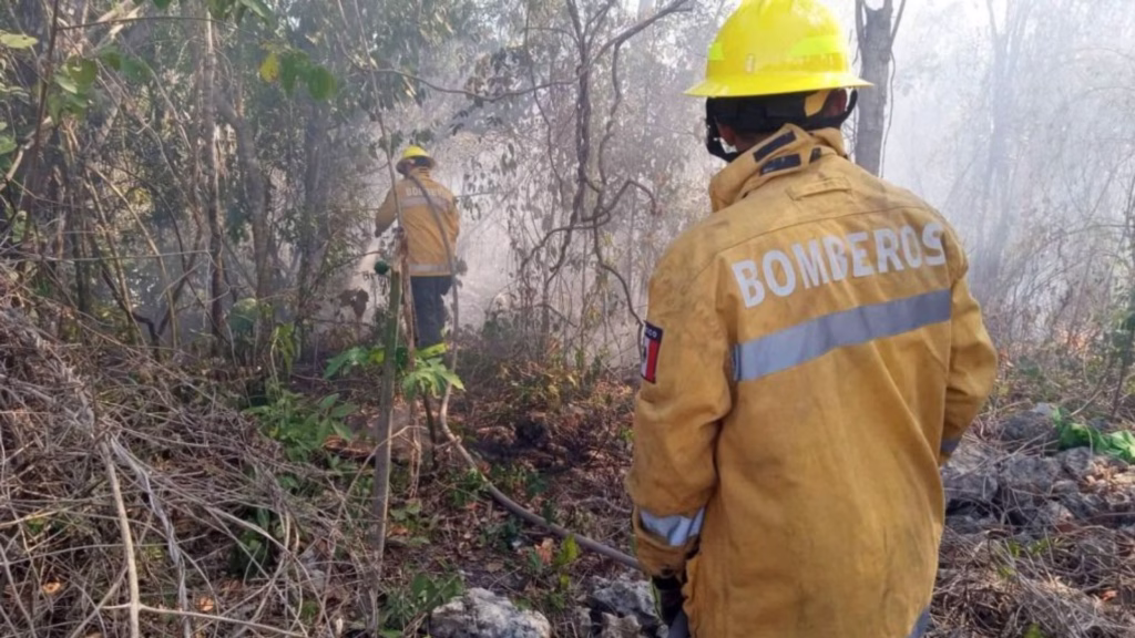 Personal especializado participa en las labores para controlar los incendios forestales registrados en Quintana Roo.