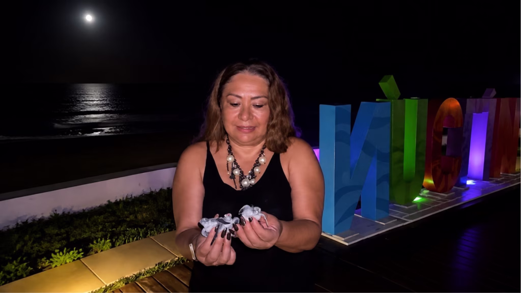 Las tortugas marinas son especies protegidas en México y requieren condiciones adecuadas para completar su llegada al mar.