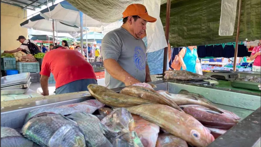 El producto pesquero forma parte de una actividad regulada mediante permisos y disposiciones federales en Quintana Roo.