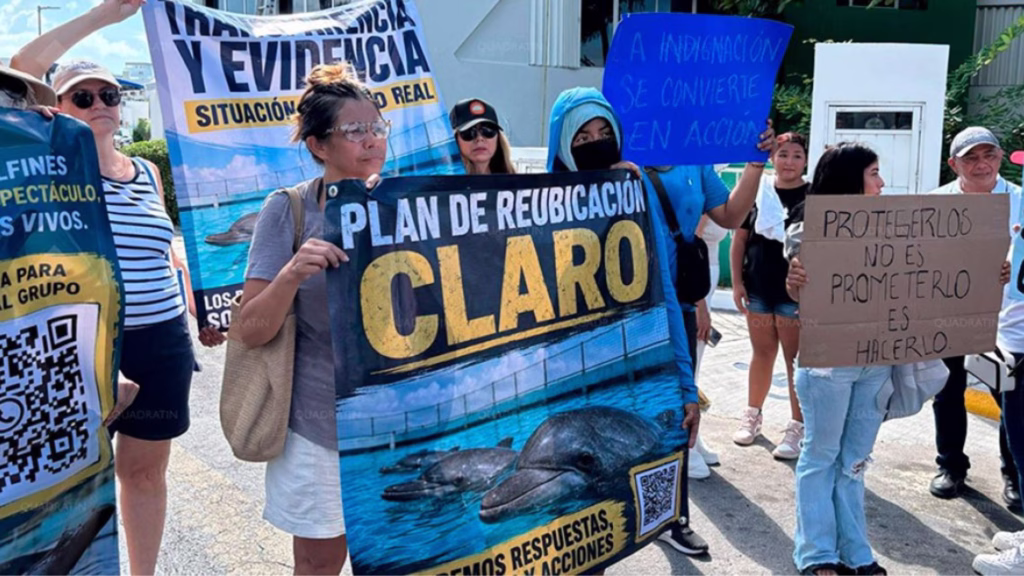 Activistas protestan en Cancún con pancartas para exigir un plan claro de reubicación para nueve delfines
