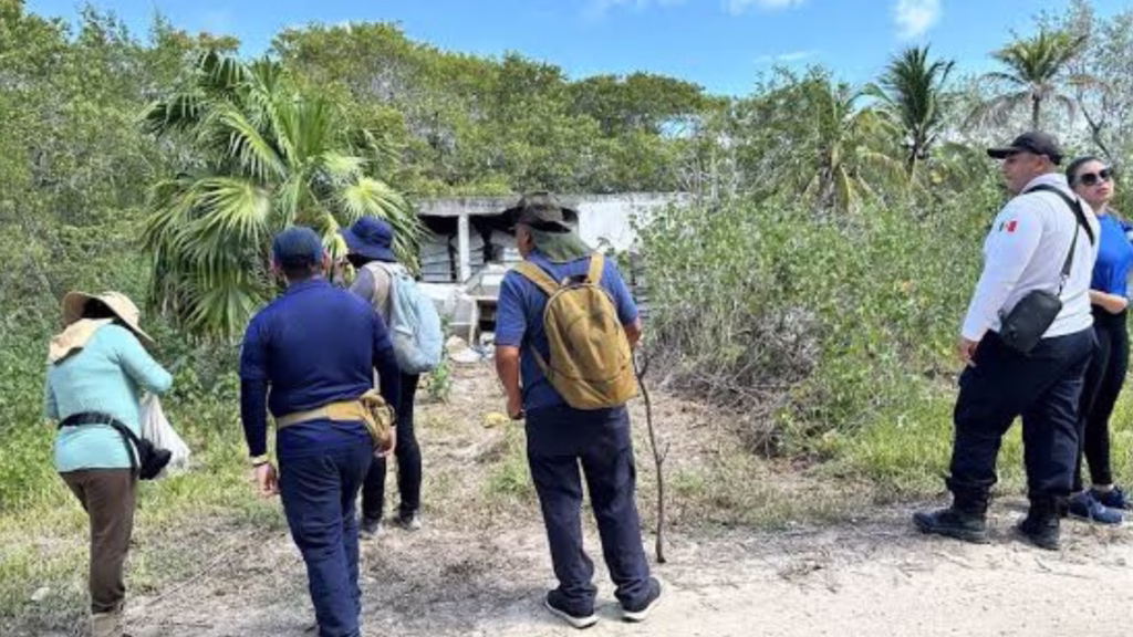 Madres Buscadoras de Cancún participan en una jornada de búsqueda en campo junto con personal de apoyo