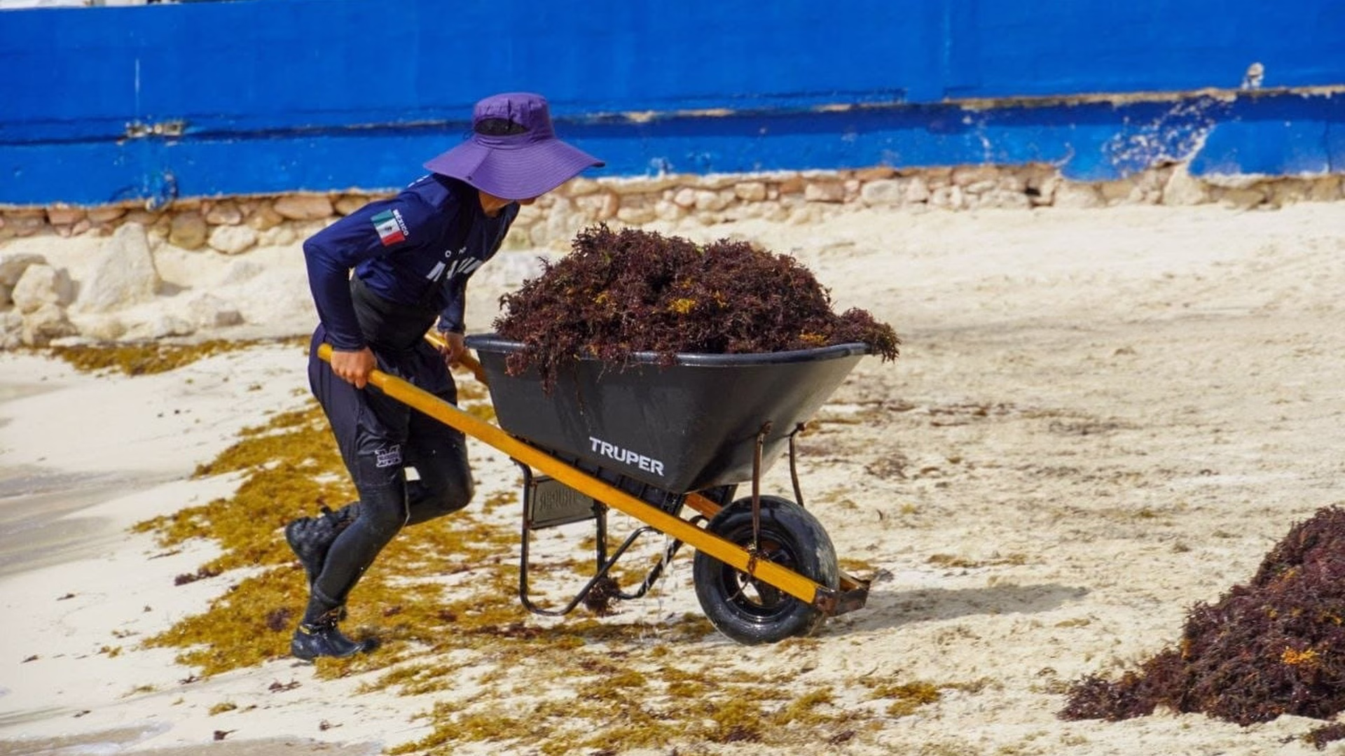 La atención al sargazo en Quintana Roo enfrenta una temporada histórica por el volumen recolectado en 2026.