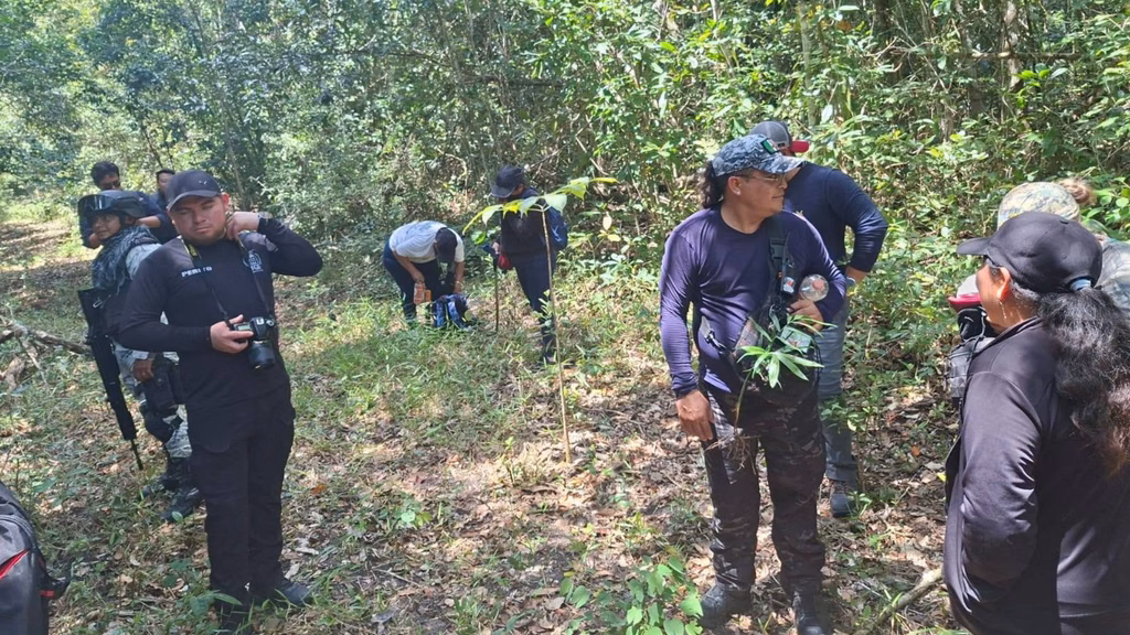 Colectivos y autoridades participan en recorridos de campo para verificar indicios relacionados con personas desaparecidas.