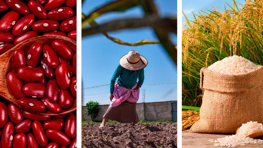 El impacto de El Niño puede trasladarse desde las cosechas hasta el costo final de algunos alimentos.