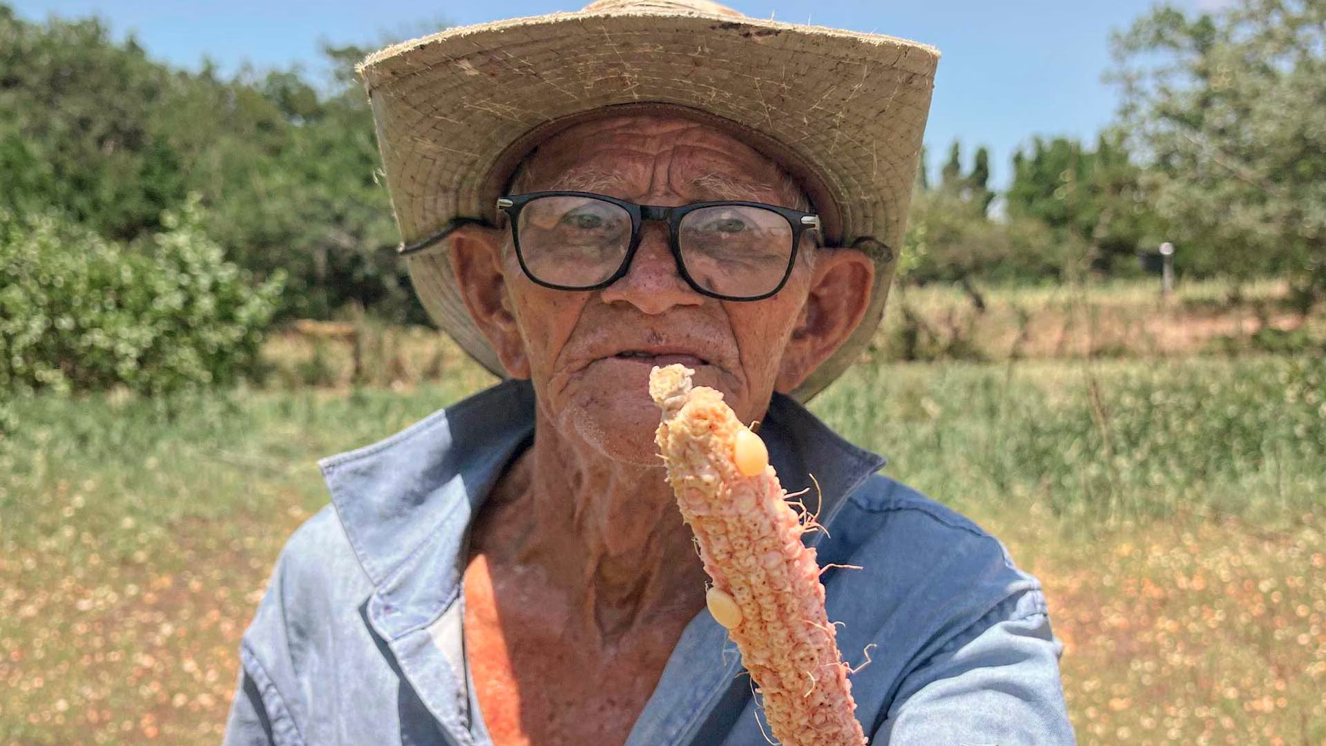 Los fenómenos climáticos extremos pueden afectar los ingresos de productores y la producción de alimentos.