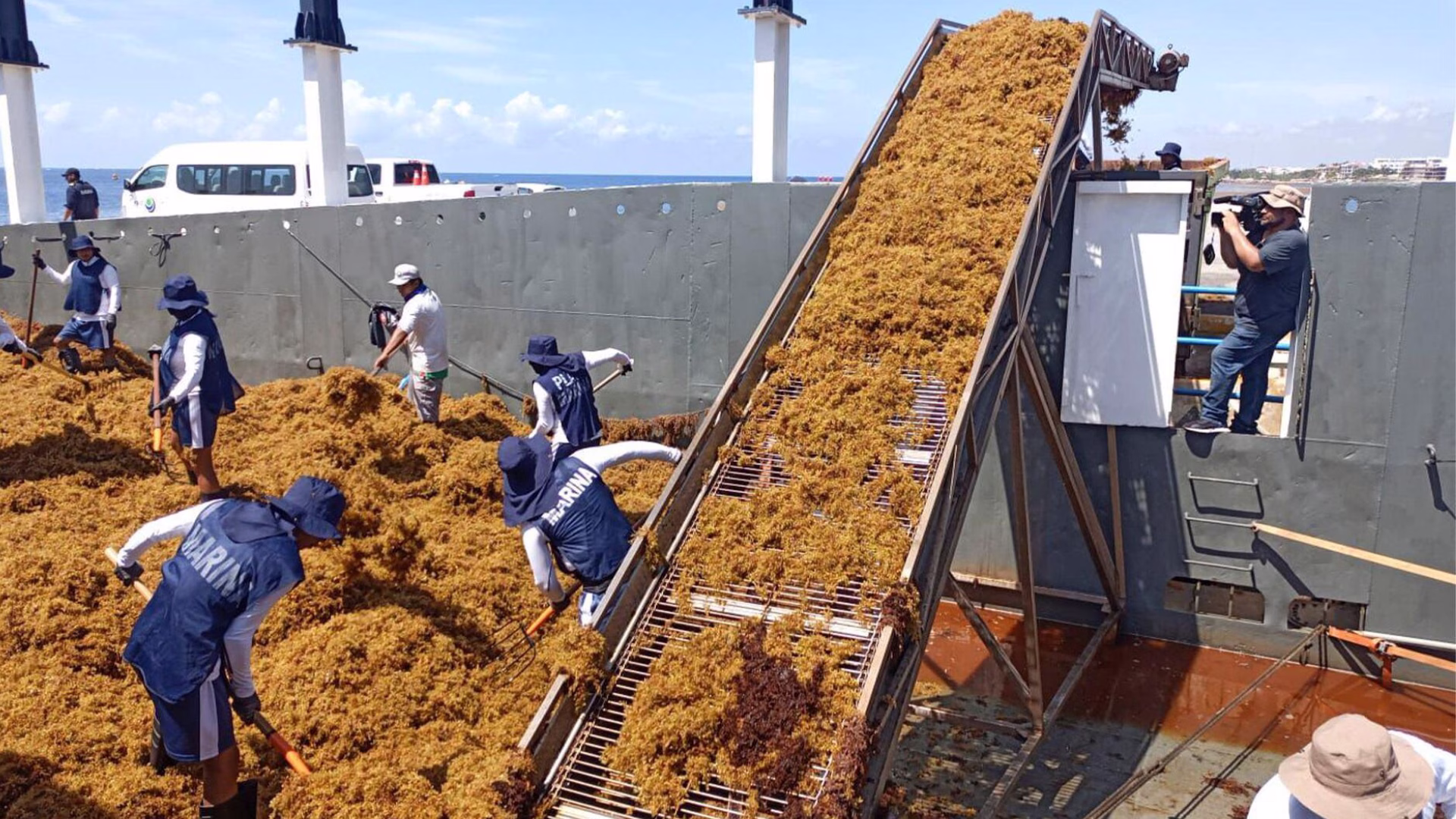 México destina recursos para ampliar la capacidad de recolección y contención del sargazo en las costas de Quintana Roo.