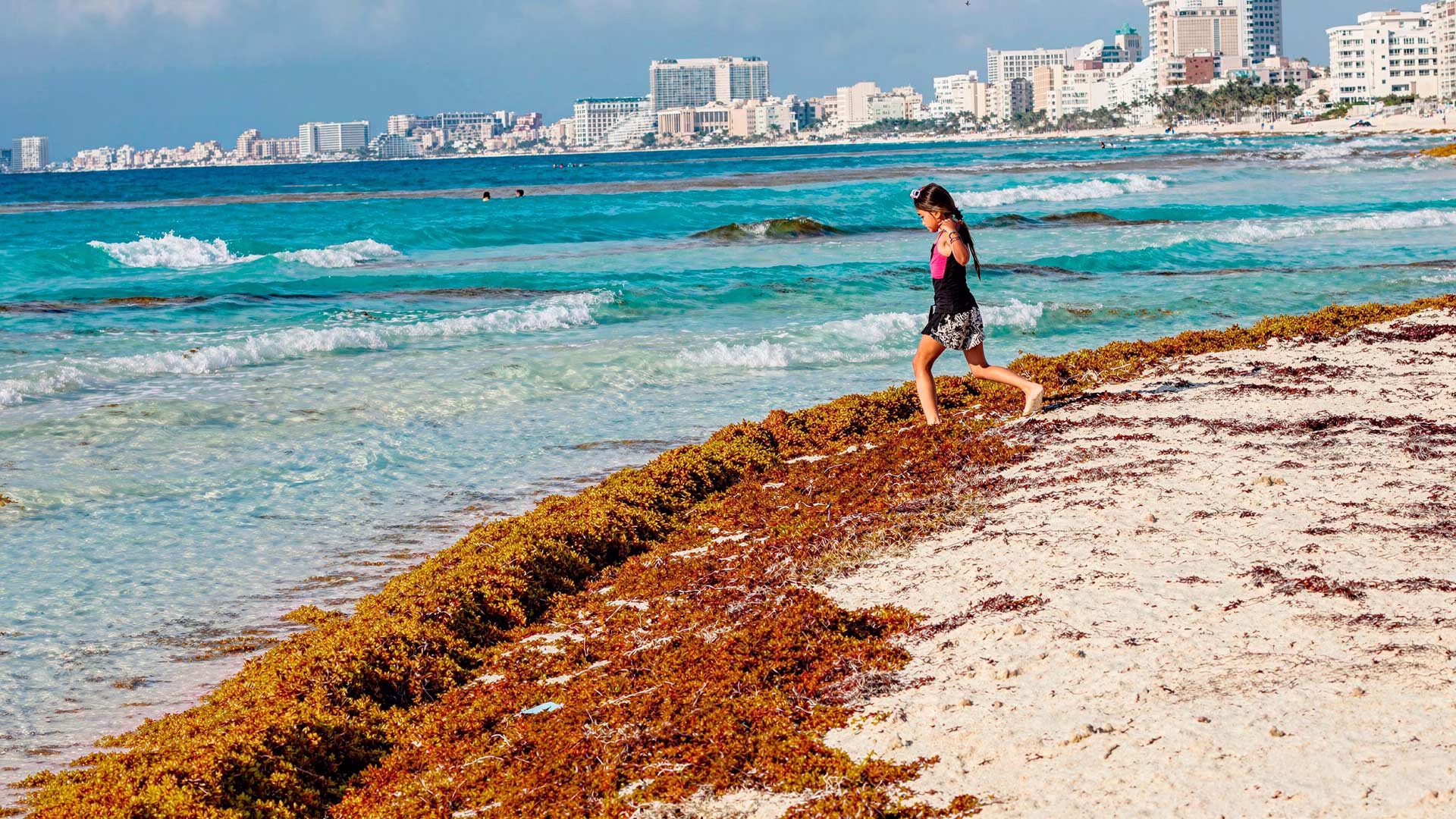 Las playas de Cancún enfrentan una temporada extraordinaria de sargazo, con más de 98 mil toneladas recolectadas durante 2026.