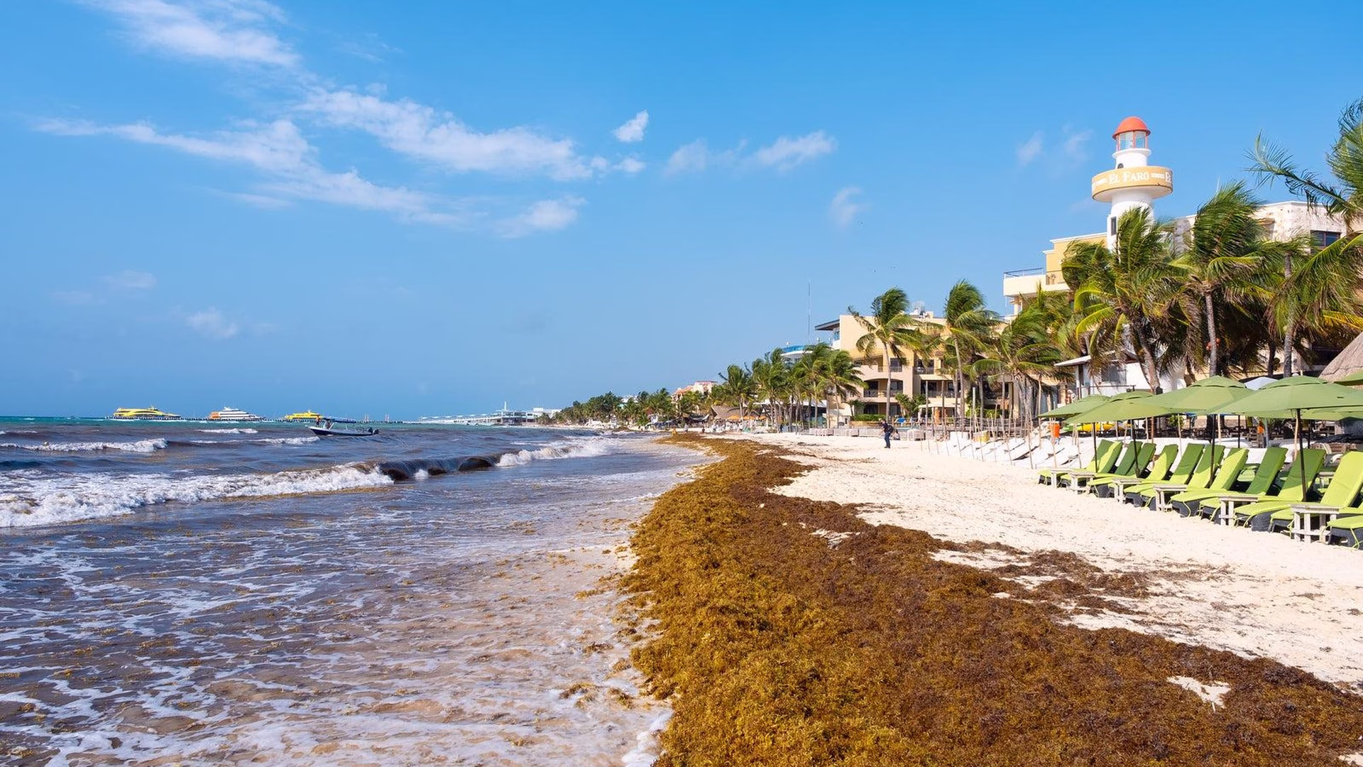 El arribo de sargazo representa uno de los retos ambientales que enfrenta Quintana Roo ante la variabilidad climática y la protección de sus costas.
