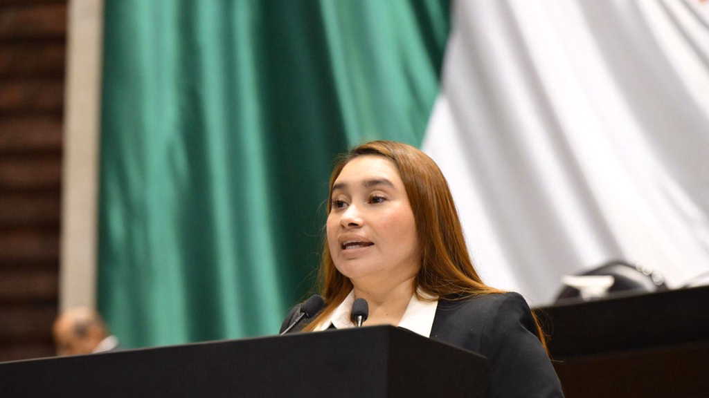 Las acciones afirmativas indígenas buscan ampliar la representación de los pueblos originarios en la Cámara de Diputados.