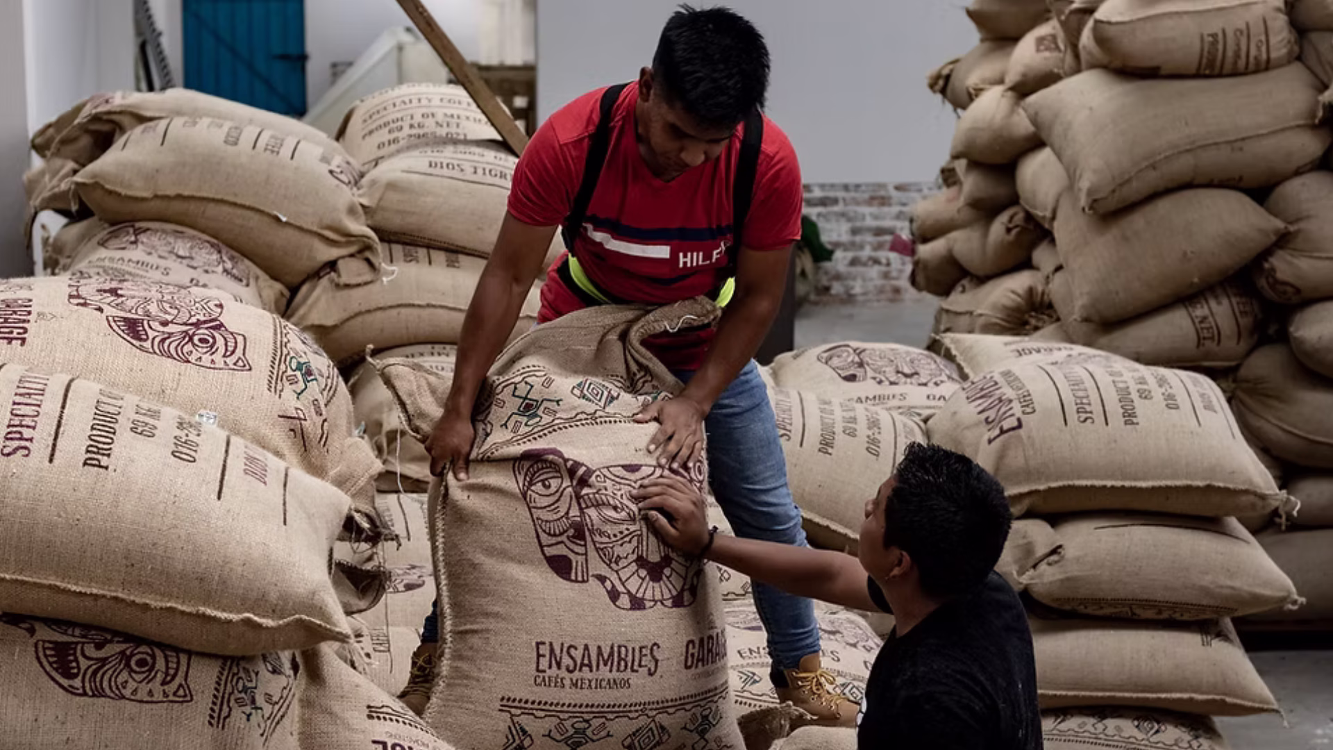 El café mexicano llega al Día Internacional del Café con un fuerte crecimiento en el valor de sus exportaciones.