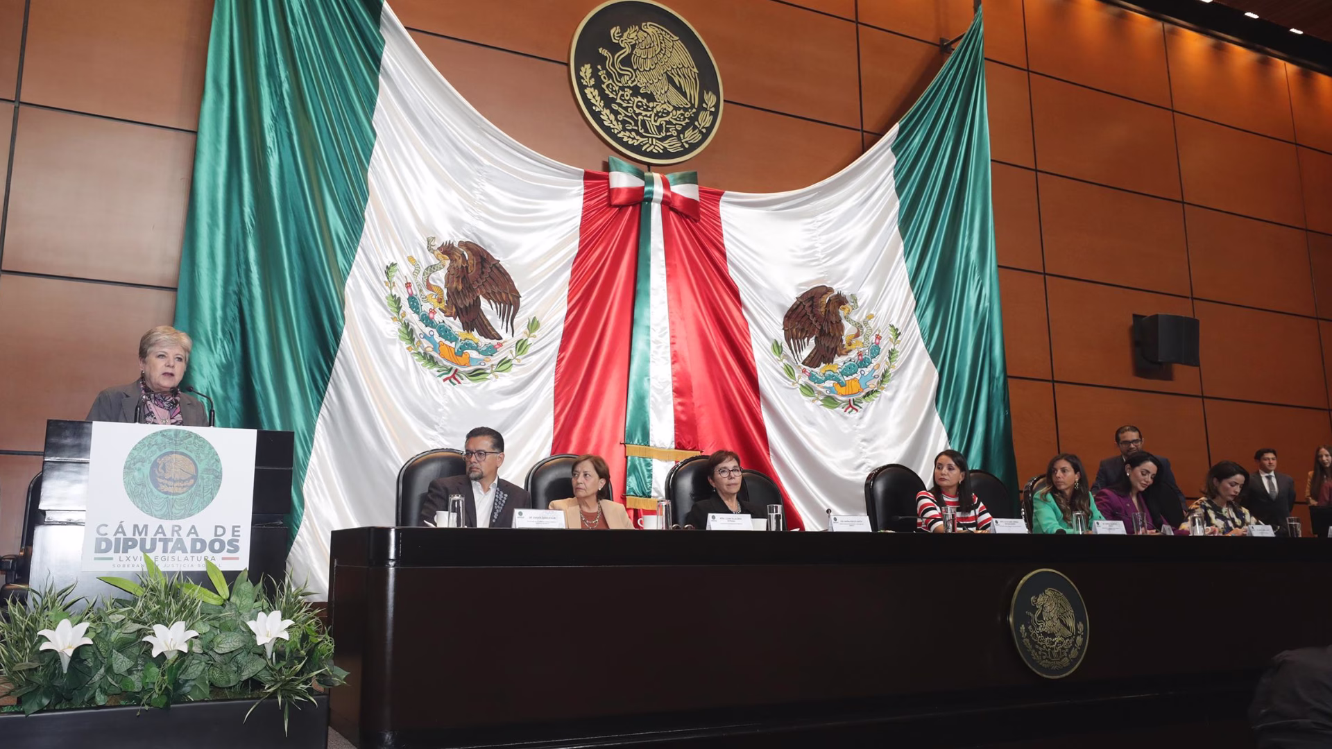 La Cámara de Diputados realizó audiencias públicas para analizar la iniciativa de una nueva Ley General del Equilibrio Ecológico y la Protección al Ambiente.